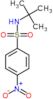 N-tert-butyl-4-nitrobenzenesulfonamide