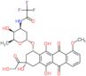 N-Trifluoroacetyladriamycin