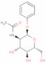 Fenil 2-(acetilamino)-2-desoxi-α-D-glucopiranósido