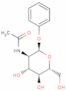 phenyl N-acetyl-A-D-glucosaminide