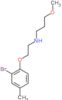 N-[2-(2-bromo-4-methylphenoxy)ethyl]-3-methoxypropan-1-amine