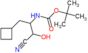 1,1-Dimethylethyl N-[2-cyano-1-(cyclobutylmethyl)-2-hydroxyethyl]carbamate