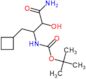 1,1-Dimethylethyl N-[3-amino-1-(cyclobutylmethyl)-2-hydroxy-3-oxopropyl]carbamate