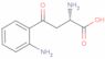 L-Kynurenine