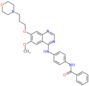 N-[4-[[6-Methoxy-7-[3-(4-morpholinyl)propoxy]-4-quinazolinyl]amino]phenyl]benzamide