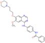 N-(4-{[6-methoxy-7-(3-morpholin-4-ylpropoxy)quinazolin-4-yl]amino}phenyl)benzamide