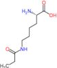 N~6~-propanoyl-L-lysine