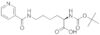 Boc-D-Lys(nicotinoyl)-OH