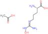(E)-N~5~-[amino(hydroxyamino)methylidene]-L-ornithine acetate (1:1)