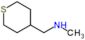 N-methyl-1-tetrahydrothiopyran-4-yl-methanamine