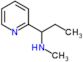 N-methyl-1-(2-pyridyl)propan-1-amine