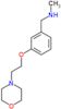 N-Methyl-3-[2-(4-morpholinyl)ethoxy]benzenemethanamine