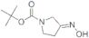 1-Pyrrolidinecarboxylicacid,3-(hydroxyimino)-,1,1-dimethylethylester(9CI)