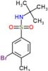 3-Bromo-N-(1,1-dimethylethyl)-4-methylbenzenesulfonamide