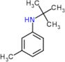 N-(1,1-Dimethylethyl)-3-methylbenzamide