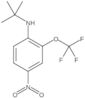 N-(1,1-Dimethylethyl)-4-nitro-2-(trifluoromethoxy)benzenamine