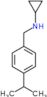 N-[4-(1-methylethyl)benzyl]cyclopropanamine