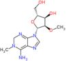 1-methyl-2'-O-methyladenosine