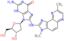 2'-deoxy-8-[(3,8-dimethyl-3H-imidazo[4,5-f]quinoxalin-2-yl)amino]guanosine