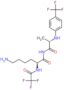 N~2~-(trifluoroacetyl)-N-[(2S)-2-{[4-(trifluoromethyl)phenyl]amino}propanoyl]-L-lysinamide