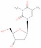 3-methylthymidine