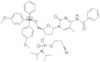 5-methyldeoxycytidine-ce*phosphoramidite for cycl