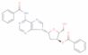 N6,3'-O-dibenzoyl-2'-deoxyadenosine