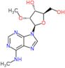 N-methyl-2'-O-methyladenosine