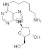 N6-(6-AMINOHEXYL)-2'-DEOXYADENOSINE