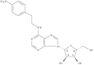 N-[2-(4-aminophenyl)ethyl]adenosine