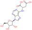 (2S)-2-({9-[(2S,3R,4S,5R)-3,4-dihydroxy-5-(hydroxymethyl)tetrahydrofuran-2-yl]-9H-purin-6-yl}ami...