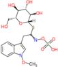 1-S-[2-(1-methoxy-1H-indol-3-yl)-N-(sulfonatooxy)ethanimidoyl]-1-thio-beta-D-glucopyranose