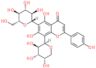 Neoschaftoside