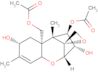 Neosolaniol