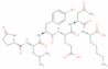 neurotensin fragment 1-6