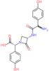 (2R)-[(3S)-3-{[amino(4-hydroxyphenyl)acetyl]amino}-2-oxoazetidin-1-yl](4-hydroxyphenyl)ethanoic ...