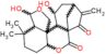 10,13-dihydroxy-1,1-dimethyl-7-methylidenedecahydro-5a,8-methanocyclohepta[c]furo[3,4-e]chromene-5,6(7H)-dione