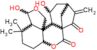 Nodosine (terpène)