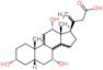 3-[(3R,5S,7R,10S,12S,13R,17R)-3,7,12-trihydroxy-10,13-dimethyl-2,3,4,5,6,7,8,9,11,12,14,15,16,17-t…