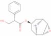 [7(S)-(1α,2β,4β,5α,7β)]-3-oxa-9-azatricyclo[3.3.1.02,4]non-7-yl (hydroxymethyl)phenylacetate