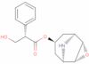 Norscopolamine