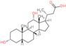 (3R)-3-[(3R,5R,8R,9S,10S,12S,13R,14S,17R)-3,12-dihydroxy-10,13-dimethylhexadecahydro-1H-cyclopenta[a]phenanthren-17-yl]butanoic acid (non-preferred name)
