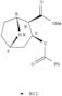 8-Azabicyclo[3.2.1]octane-2-carboxylicacid, 3-(benzoyloxy)-, methyl ester, hydrochloride, (1R,2R,3S,5S)- (9CI)