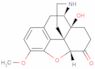 Noroxycodone