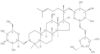 Notoginsenoside Fe