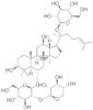 Notoginsenoside R1