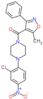 1-(2-chloro-4-nitrophenyl)-4-[(5-methyl-3-phenylisoxazol-4-yl)carbonyl]piperazine