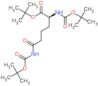tert-butyl N~2~,N~6~-bis(tert-butoxycarbonyl)-6-oxo-L-lysinate
