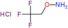 2-(aminooxy)-1,1,1-trifluoroethane hydrochloride