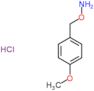 1-[(aminooxy)methyl]-4-methoxybenzene hydrochloride (1:1)